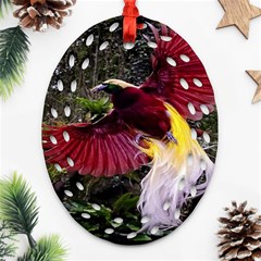 Cendrawasih Beautiful Bird Of Paradise Ornament (oval Filigree) by BangZart