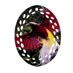 Cendrawasih Beautiful Bird Of Paradise Oval Filigree Ornament (two Sides) by BangZart