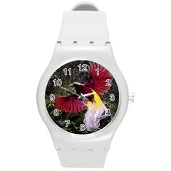 Cendrawasih Beautiful Bird Of Paradise Round Plastic Sport Watch (m) by BangZart