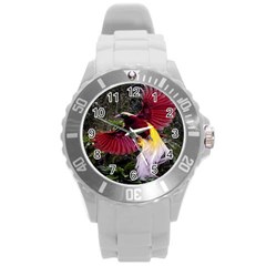 Cendrawasih Beautiful Bird Of Paradise Round Plastic Sport Watch (l) by BangZart