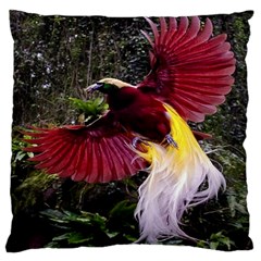 Cendrawasih Beautiful Bird Of Paradise Large Cushion Case (two Sides) by BangZart