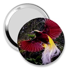 Cendrawasih Beautiful Bird Of Paradise 3  Handbag Mirrors by BangZart