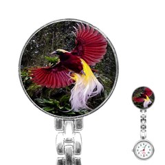 Cendrawasih Beautiful Bird Of Paradise Stainless Steel Nurses Watch by BangZart