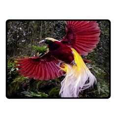 Cendrawasih Beautiful Bird Of Paradise Double Sided Fleece Blanket (small)  by BangZart