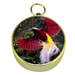 Cendrawasih Beautiful Bird Of Paradise Gold Compasses by BangZart