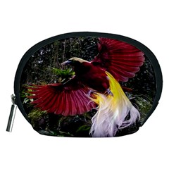 Cendrawasih Beautiful Bird Of Paradise Accessory Pouches (medium)  by BangZart