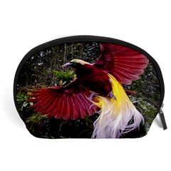 Cendrawasih Beautiful Bird Of Paradise Accessory Pouches (large)  by BangZart