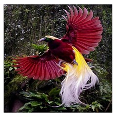 Cendrawasih Beautiful Bird Of Paradise Large Satin Scarf (square) by BangZart