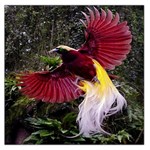 Cendrawasih Beautiful Bird Of Paradise Large Satin Scarf (Square) Front