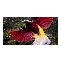 Cendrawasih Beautiful Bird Of Paradise Satin Shawl by BangZart