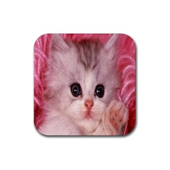 Cat  Animal  Kitten  Pet Rubber Coaster (square) 