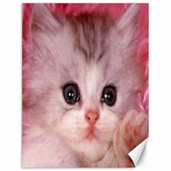 Cat  Animal  Kitten  Pet Canvas 12  X 16   by BangZart