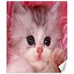 Cat  Animal  Kitten  Pet Canvas 20  x 24   19.57 x23.15  Canvas - 1