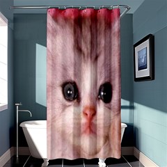 Cat  Animal  Kitten  Pet Shower Curtain 36  X 72  (stall)  by BangZart