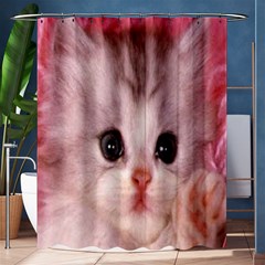 Cat  Animal  Kitten  Pet Shower Curtain 60  X 72  (medium)  by BangZart