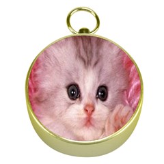 Cat  Animal  Kitten  Pet Gold Compasses by BangZart