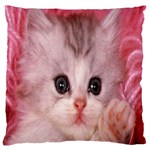 Cat  Animal  Kitten  Pet Standard Flano Cushion Case (Two Sides) Front