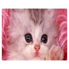 Cat  Animal  Kitten  Pet Double Sided Flano Blanket (medium)  by BangZart