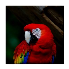 Scarlet Macaw Bird Tile Coasters