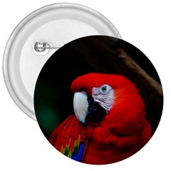 Scarlet Macaw Bird 3  Buttons by BangZart