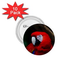 Scarlet Macaw Bird 1 75  Buttons (10 Pack) by BangZart