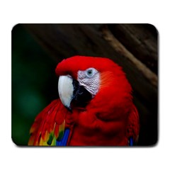 Scarlet Macaw Bird Large Mousepads by BangZart