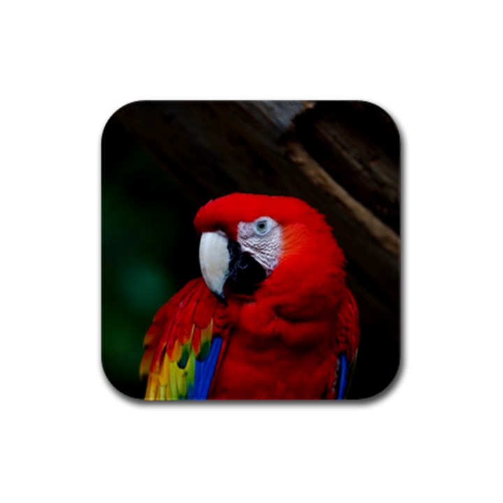 Scarlet Macaw Bird Rubber Square Coaster (4 pack) 