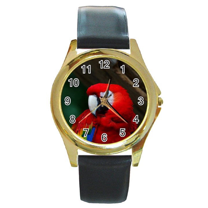 Scarlet Macaw Bird Round Gold Metal Watch