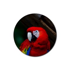 Scarlet Macaw Bird Rubber Coaster (round)  by BangZart