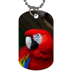 Scarlet Macaw Bird Dog Tag (one Side) by BangZart