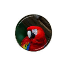 Scarlet Macaw Bird Hat Clip Ball Marker (10 Pack) by BangZart