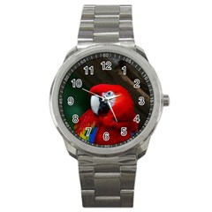 Scarlet Macaw Bird Sport Metal Watch by BangZart