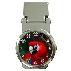 Scarlet Macaw Bird Money Clip Watches by BangZart