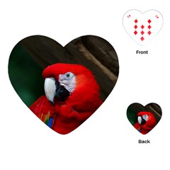 Scarlet Macaw Bird Playing Cards (heart)  by BangZart