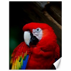 Scarlet Macaw Bird Canvas 12  X 16   by BangZart