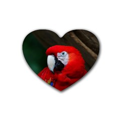 Scarlet Macaw Bird Heart Coaster (4 Pack)  by BangZart