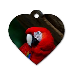 Scarlet Macaw Bird Dog Tag Heart (one Side) by BangZart