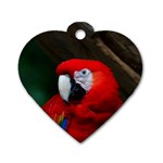 Scarlet Macaw Bird Dog Tag Heart (Two Sides) Front