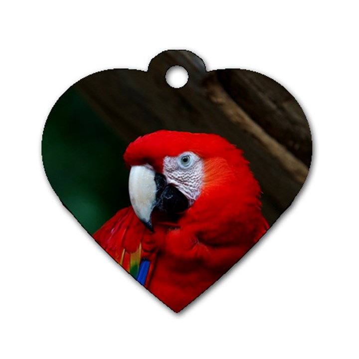 Scarlet Macaw Bird Dog Tag Heart (Two Sides)