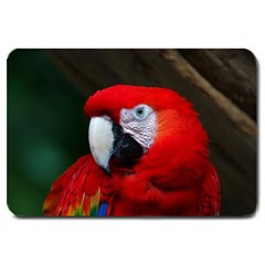 Scarlet Macaw Bird Large Doormat  by BangZart