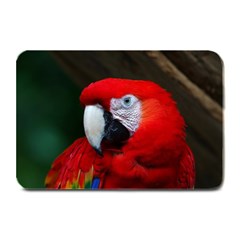 Scarlet Macaw Bird Plate Mats