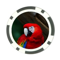 Scarlet Macaw Bird Poker Chip Card Guard by BangZart