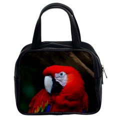 Scarlet Macaw Bird Classic Handbags (2 Sides) by BangZart