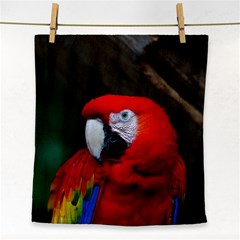 Scarlet Macaw Bird Face Towel by BangZart