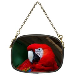 Scarlet Macaw Bird Chain Purses (one Side)  by BangZart