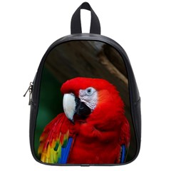 Scarlet Macaw Bird School Bags (small)  by BangZart