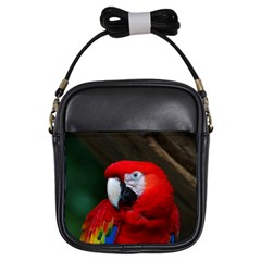 Scarlet Macaw Bird Girls Sling Bags by BangZart