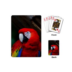 Scarlet Macaw Bird Playing Cards (mini)  by BangZart