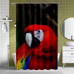 Scarlet Macaw Bird Shower Curtain 48  X 72  (small) 