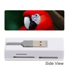 Scarlet Macaw Bird Memory Card Reader (stick)  by BangZart